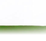 Allan Jones Foundation